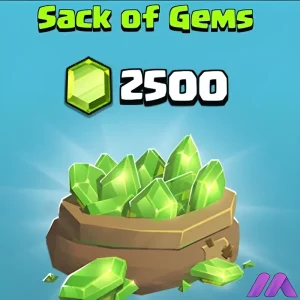2500 جم